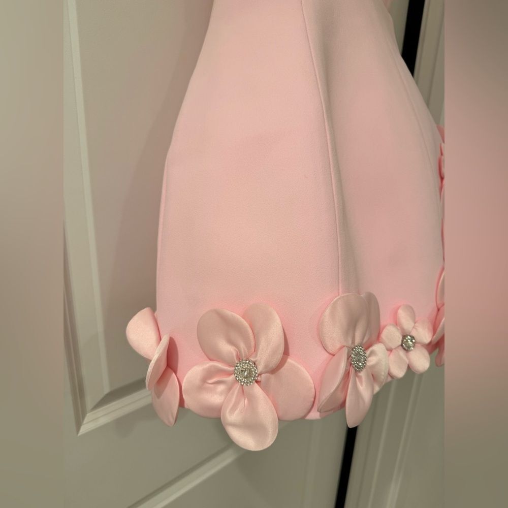 NWOT BRONX AND BANCO Estelle Blush Mini Dress ,Elegant Pink Floral - Picture 7 of 15